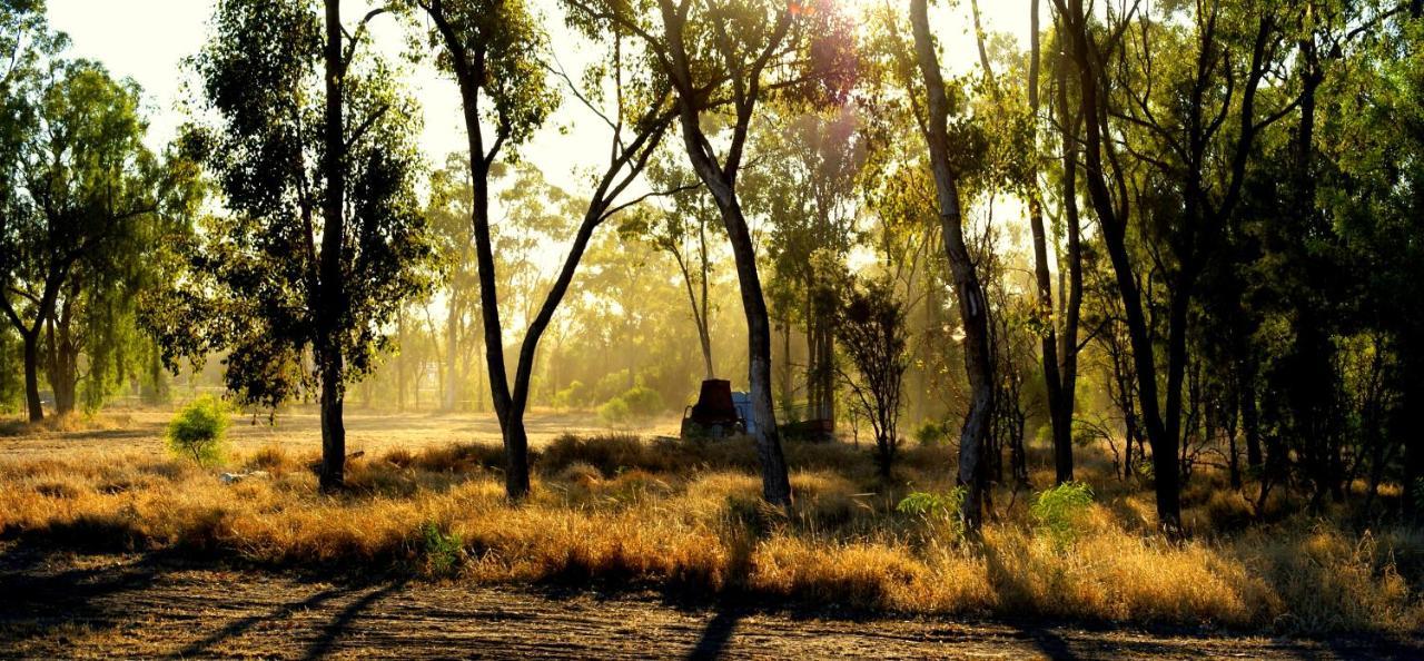 Pritchard Road Country Resort Emerald Buitenkant foto